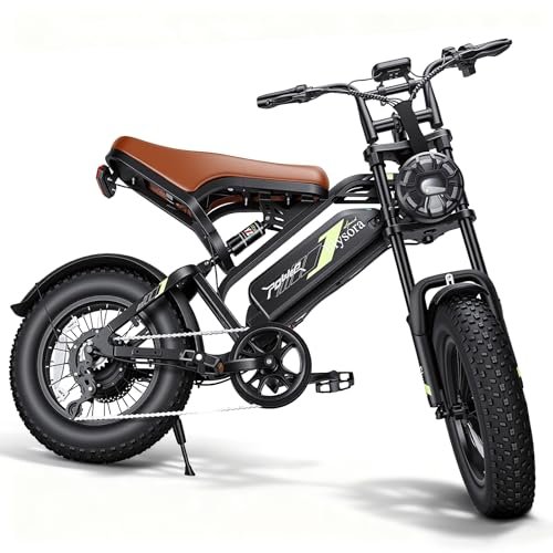 Electric Bike for Adults e300,1000W Peak Motor ebikes,48V/15.6AH 30-50 Miles Electric Dirt Bike,16” Fat Tire e Bike for Mountains, Snow, Sand, Road，28MPH Bicicleta elctrica para adultos，ebike