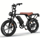 V8 Electric Mountain Bike